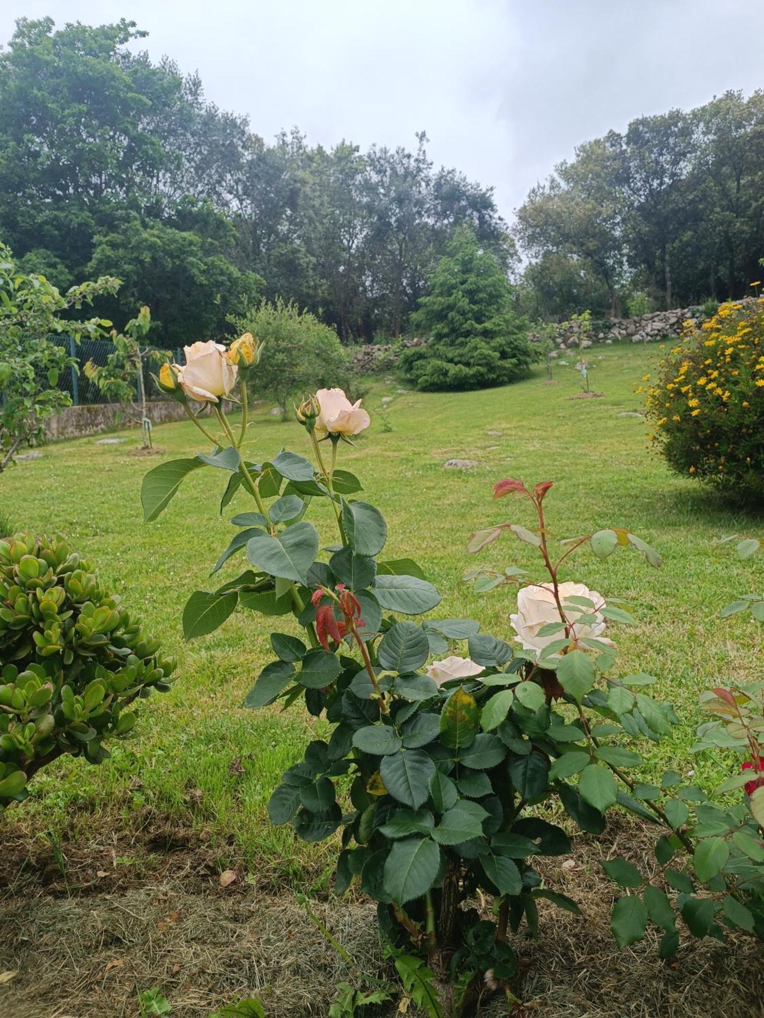 Casa Coba Villa Camijanes Buitenkant foto